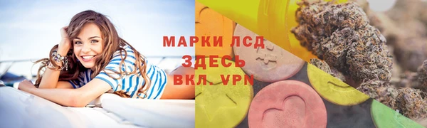 стаф Алексеевка