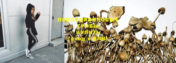 трава Алзамай