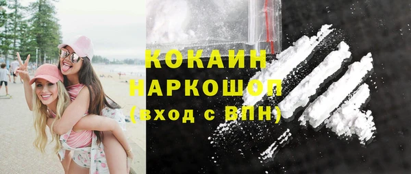 крисы Алексин