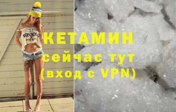 крисы Алексин