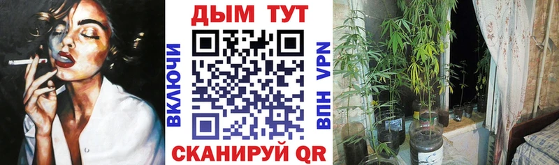 Марихуана Bruce Banner  Асино 